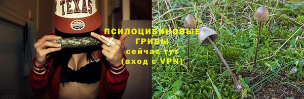 альфа пвп Бородино